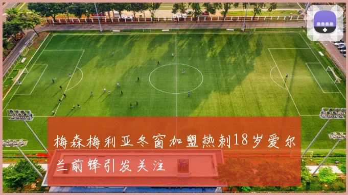 梅森梅利亚冬窗加盟热刺18岁爱尔兰前锋引发关注