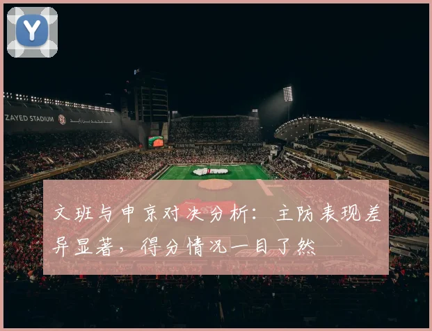 文班与申京对决分析：主防表现差异显著，得分情况一目了然