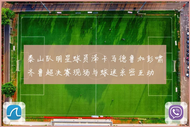 泰山队明星球员泽卡马德鲁加彭啸齐鲁超决赛现场与球迷亲密互动