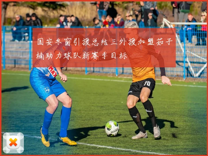 国安冬窗引援总结三外援加盟茹子楠助力球队新赛季目标